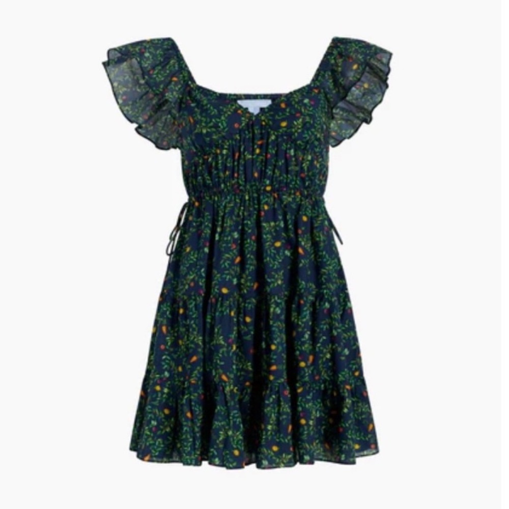 EC Lucia dress midnight garden color sz small